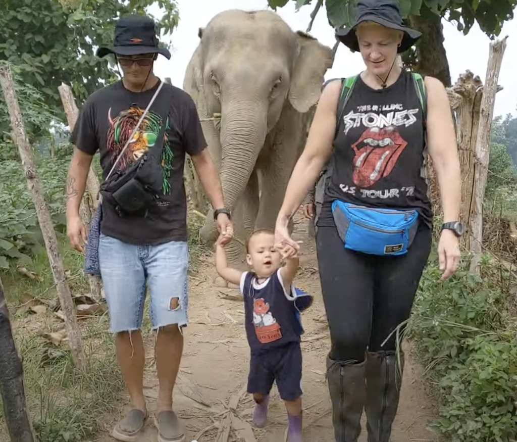 Family Travel around the world Laos Elephant preserve